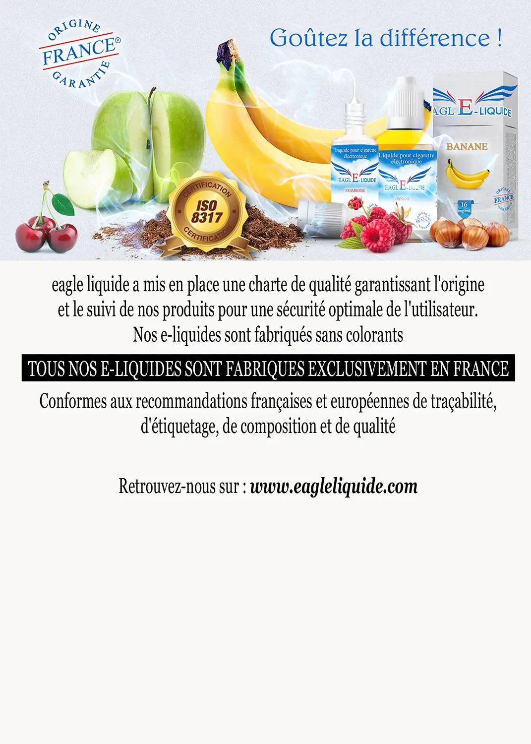 Eagle Liquide N12A Webdesigner Freelance NICE