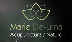 Marie Lima N12A Webdesigner Freelance NICE